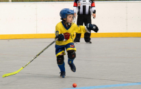 Mladší žáci - bojovné a srdnaté výkony přinesly v Děčíně jedno vítězství a jednu porážku