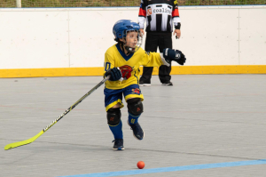 Mladší žáci - bojovné a srdnaté výkony přinesly v Děčíně jedno vítězství a jednu porážku